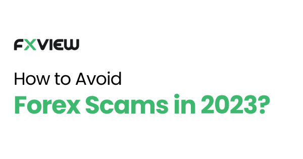 How to Avoid Forex Scams in 2023?