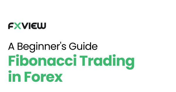 Fibonacci Trading in Forex: A Beginner’s Guide